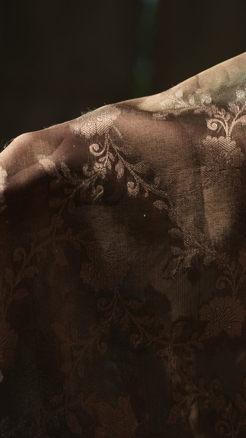 Grey Banarasi Silk Saree with Pure Gold Zari Floral Weaving and Matching Checked Blouse