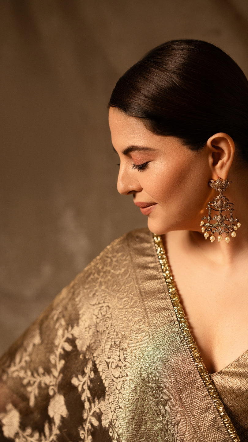 Grey Banarasi Silk Saree with Pure Gold Zari Floral Weaving and Matching Checked Blouse