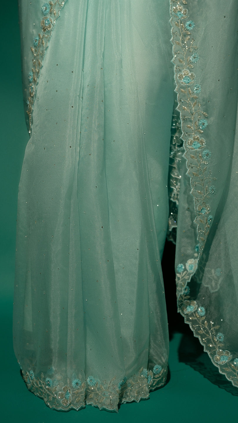 Sky Blue Hand Embroidered Saree and Matching Floral Embroidered Blouse