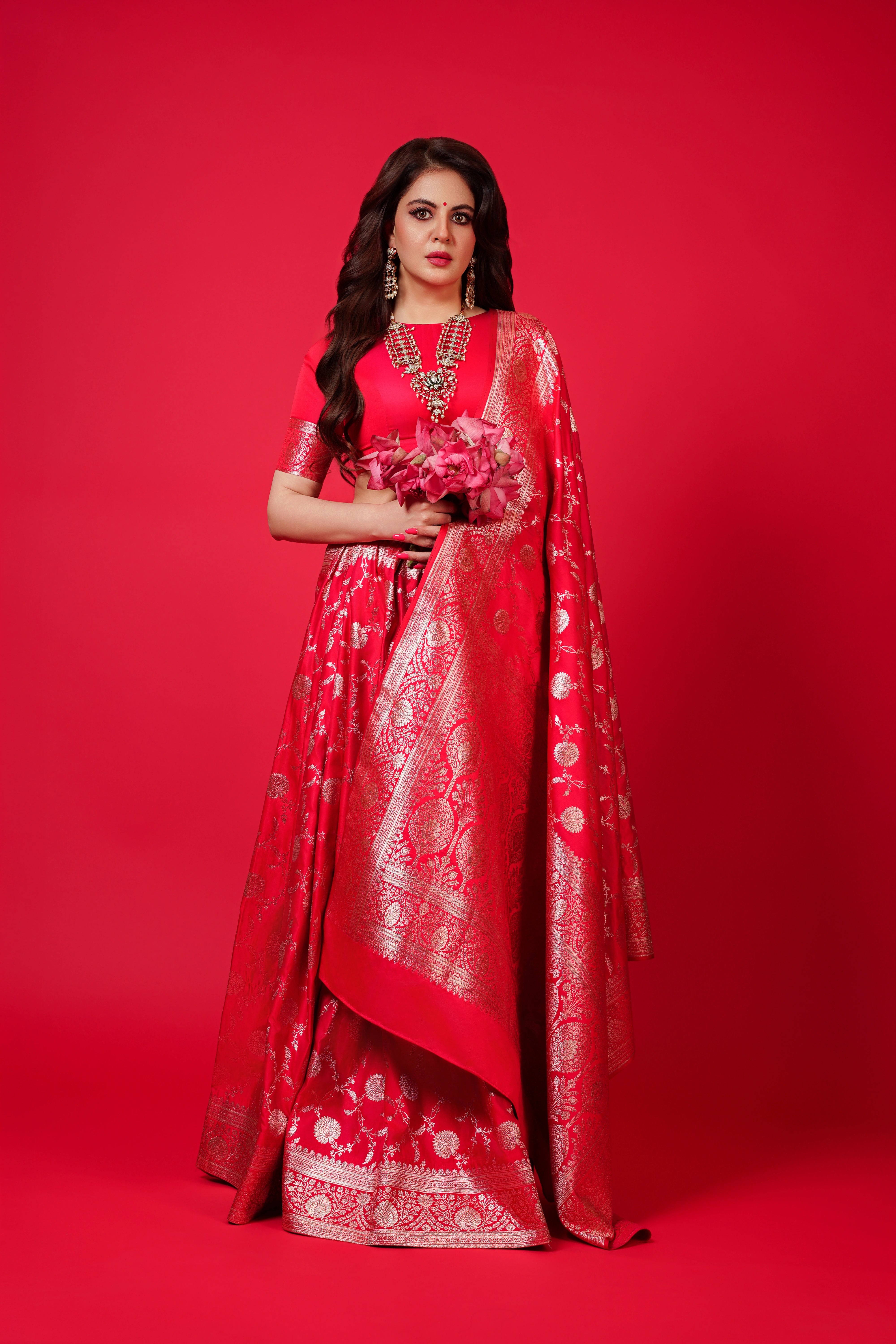 Red Pure Banarasi Silk Saree with All-Over Intricate Hand Embroidery Silver Zari Work and Matching Blouse