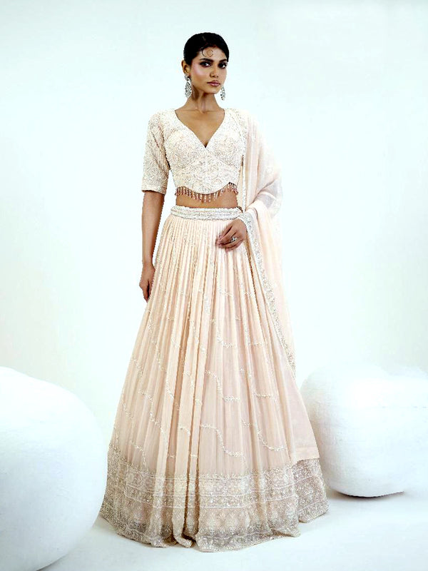 Zehra Taupe Lehenga - Nonita Fashion