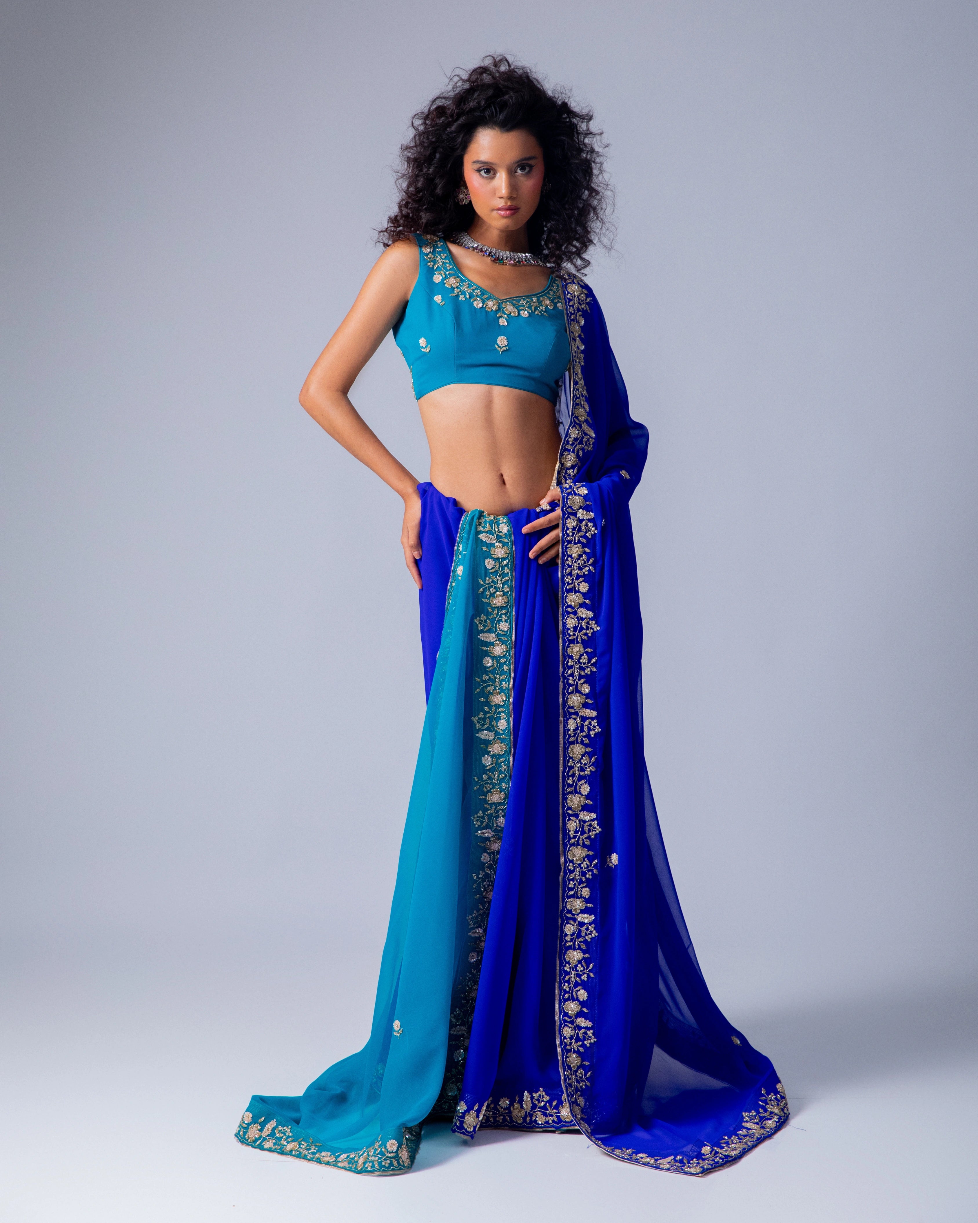 Dark Blue and Bule Dual Tone Hand Embroidered Georgette Saree with Blue Embroidery Blouse