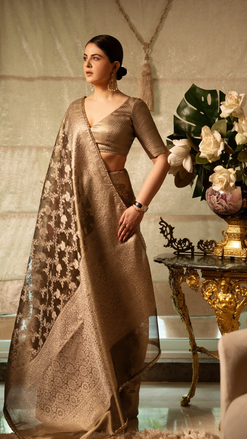 Grey Banarasi Silk Saree with Pure Gold Zari Floral Weaving and Matching Checked Blouse