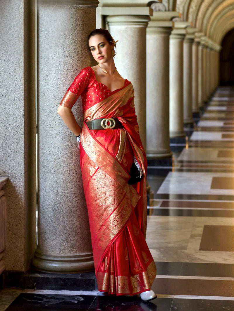 Orchid Mist Saree - Nonita Fashion