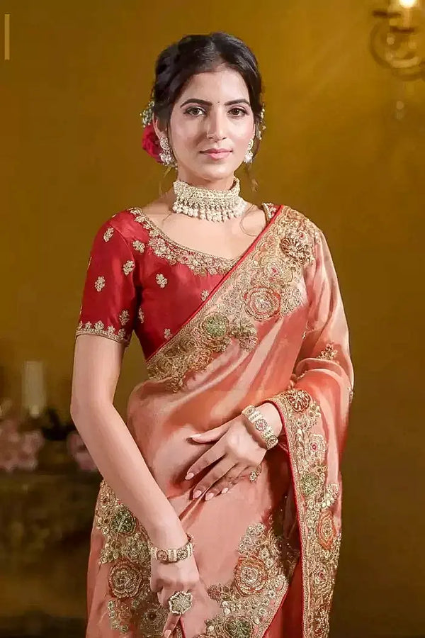 Orange Silk Saree with Embroidery Pallu Borders Design and Matching Embroidery Blouse
