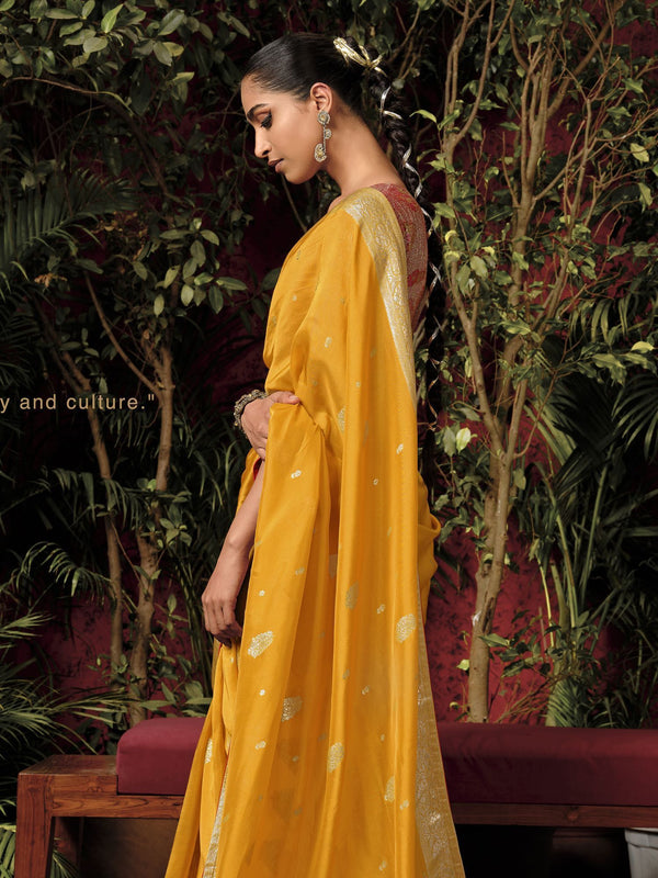 Sunbeam Splendor Silk Saree - Nonita Fashion