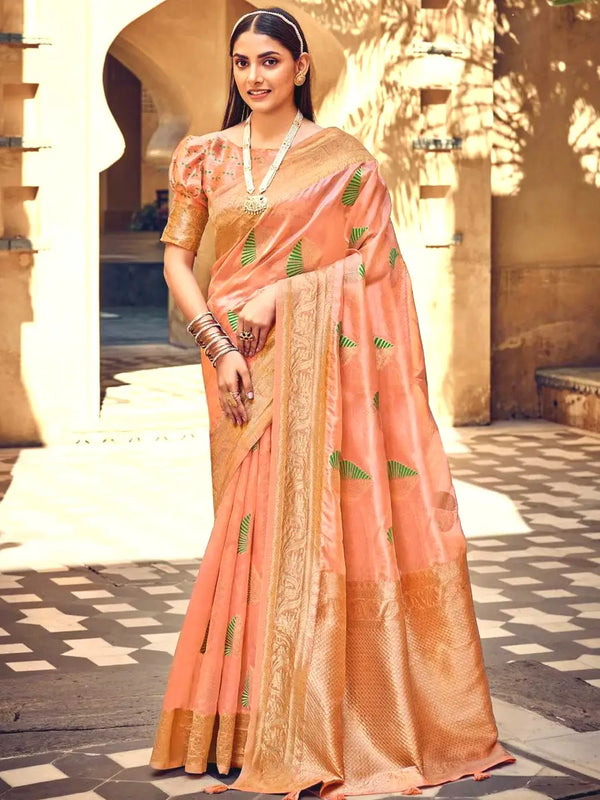 Shreevastra VarNa Saree